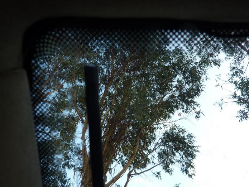 post-26118-0-20586900-1538752512_thumb.jpg